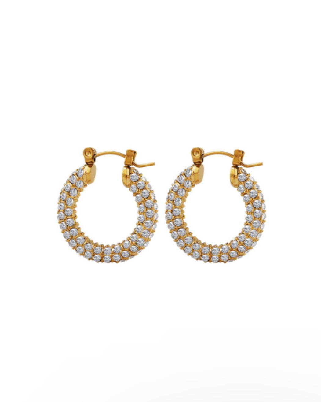 Mariana Hoop Earrings